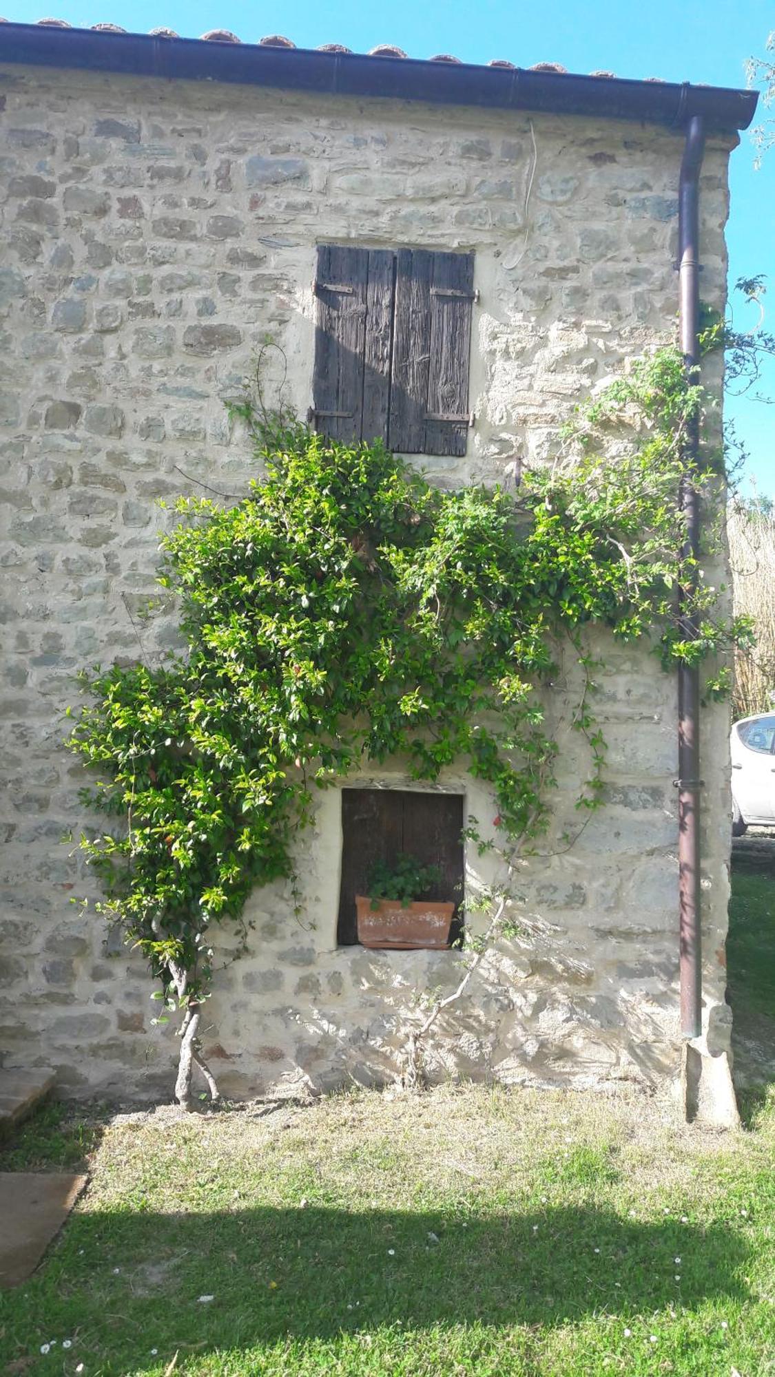Le Bumbarelle Bed & Breakfast Tavoleto Exterior photo