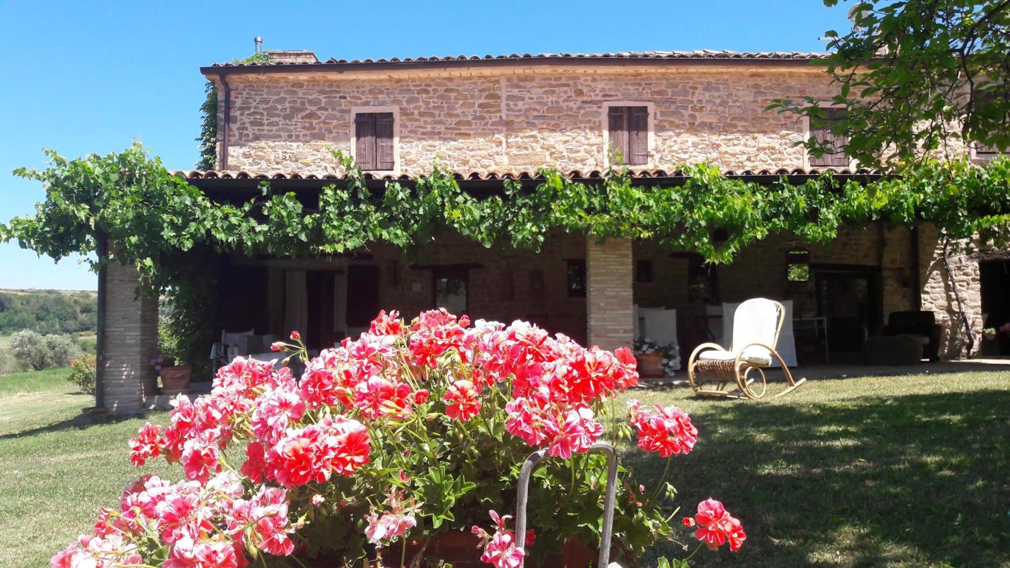 Le Bumbarelle Bed & Breakfast Tavoleto Exterior photo