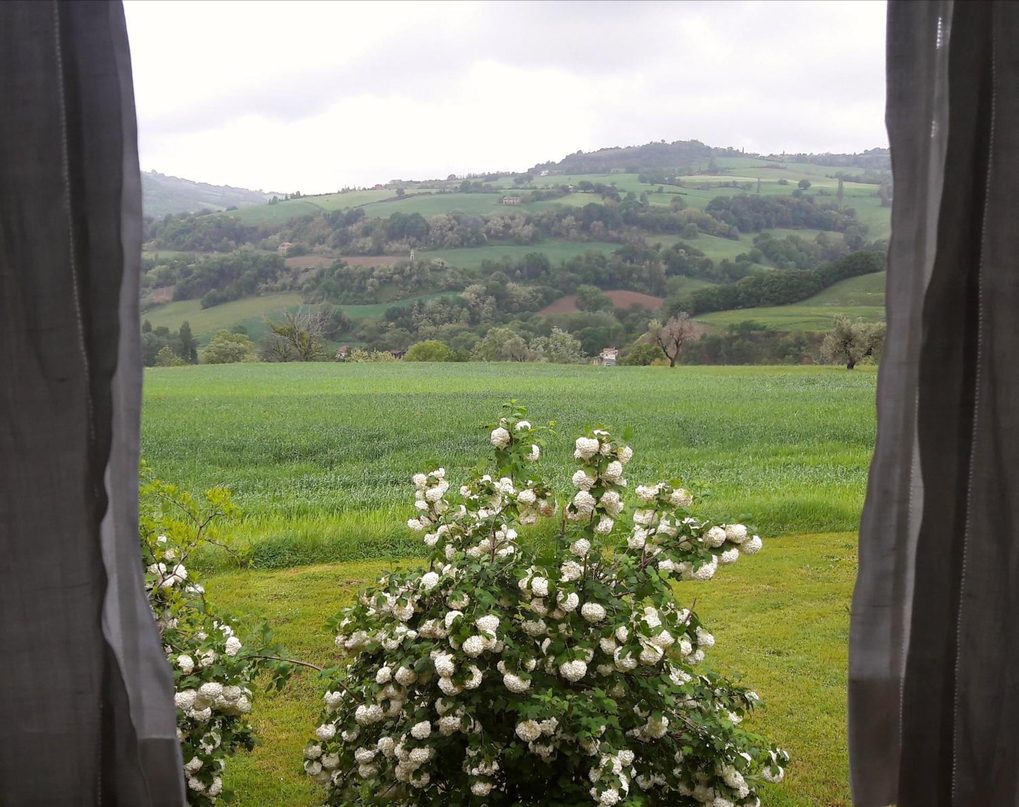 Le Bumbarelle Bed & Breakfast Tavoleto Exterior photo