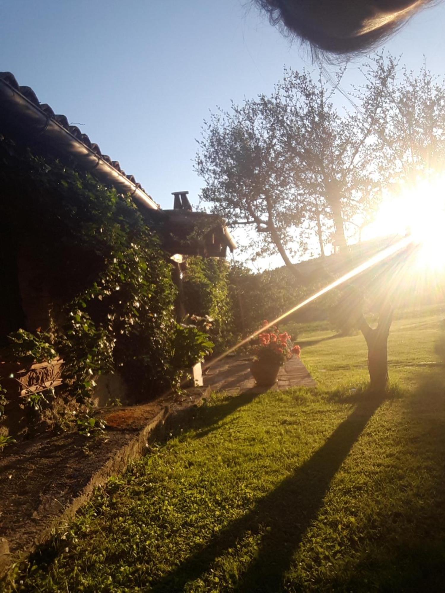 Le Bumbarelle Bed & Breakfast Tavoleto Exterior photo