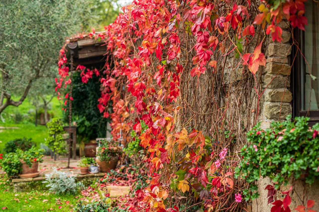 Le Bumbarelle Bed & Breakfast Tavoleto Exterior photo